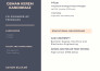 make you a fast, cheap and professional resume